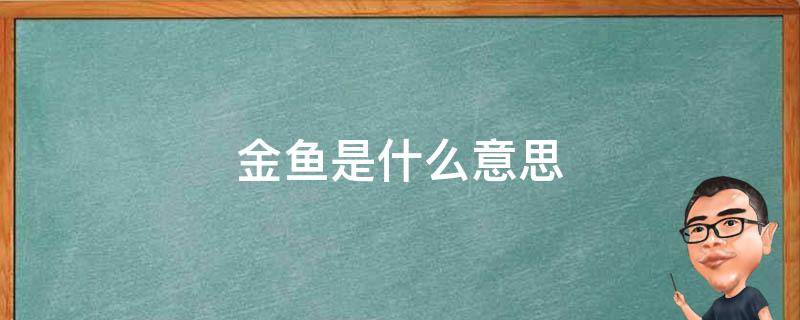 金鱼是什么意思 梦见好多金鱼是什么意思