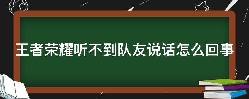 王者荣耀听不到队友说话怎么回事 王者荣耀没有声音了苹果手机