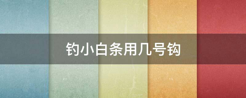 钓小白条用几号钩 钓小白条用几号钩最好