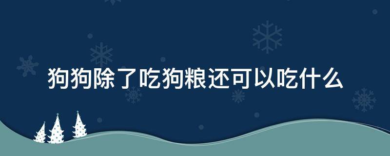 狗狗除了吃狗粮还可以吃什么（比熊狗狗除了吃狗粮还可以吃什么）