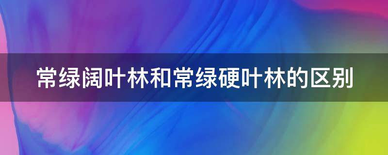 常绿阔叶林和常绿硬叶林的区别（常绿阔叶林和常绿硬叶林的区别叶片）