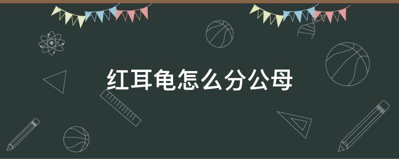 红耳龟怎么分公母 巴西红耳龟怎么分公母