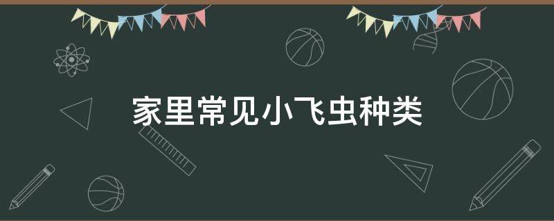 家里常见小飞虫种类 家里面常见的小飞虫都是哪些