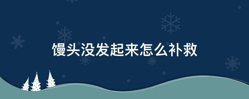 馒头没发起来怎么补救 发馒头没有发起来怎么补救