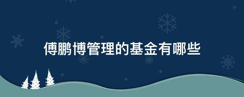 傅鹏博管理的基金有哪些 基金经理人傅鹏博