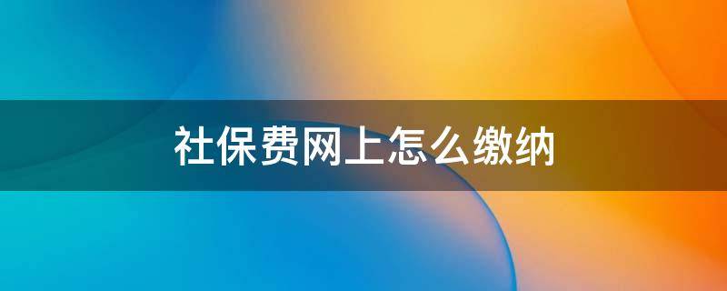 社保费网上怎么缴纳（社保网上怎样缴费）