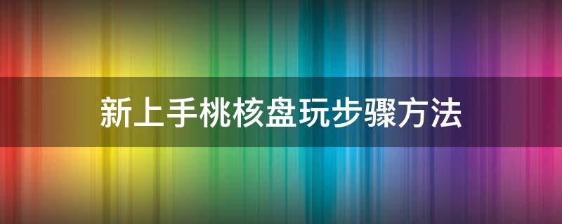 新上手桃核盘玩步骤方法 桃核怎样盘玩教程