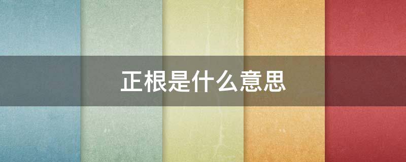 正根是什么意思（正根是什么意思(在数学中）