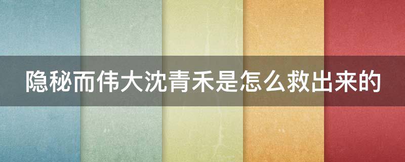 隐秘而伟大沈青禾是怎么救出来的 隐秘而伟大沈青禾怎么被抓的