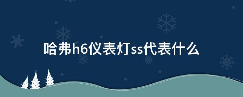 哈弗h6仪表灯ss代表什么（长城h6仪表ss什么灯）