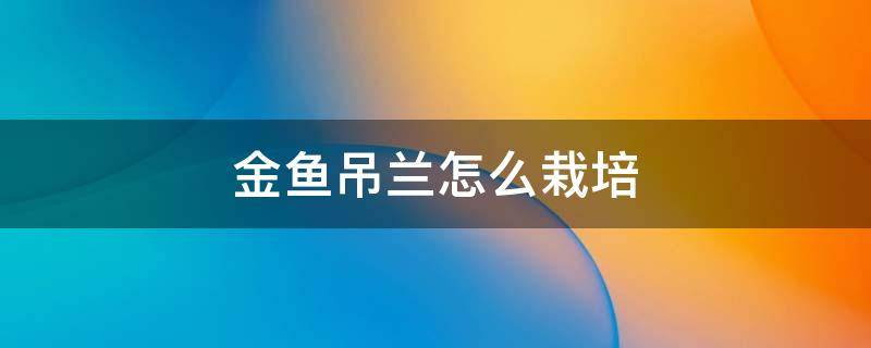 金鱼吊兰怎么栽培 金鱼吊兰养植方法