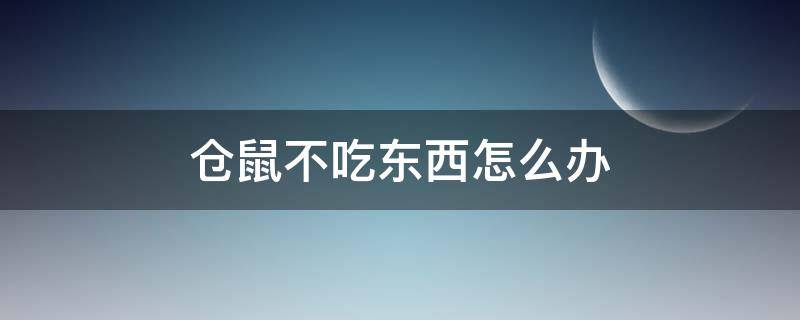 仓鼠不吃东西怎么办 买回来的小仓鼠不吃东西怎么办