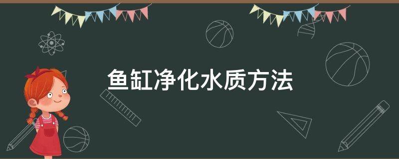 鱼缸净化水质方法 净化鱼缸水质的方法