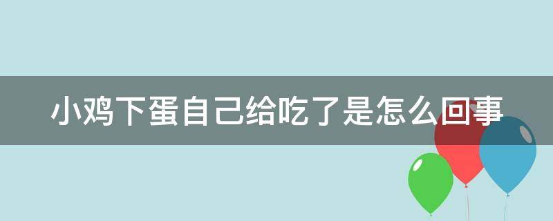 小鸡下蛋自己给吃了是怎么回事（小鸡下完蛋自己吃了是怎么回事）