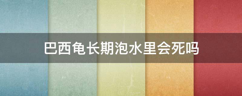 巴西龟长期泡水里会死吗（巴西龟常年泡在水中好吗）