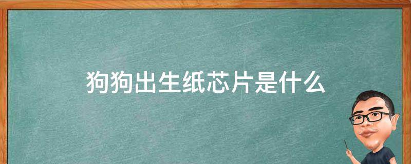 狗狗出生纸芯片是什么 狗狗的芯片什么样子