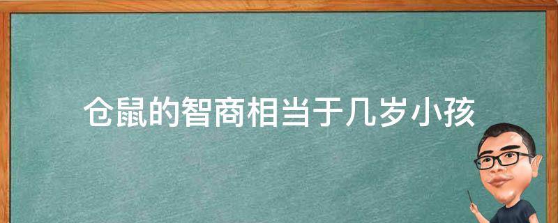 仓鼠的智商相当于几岁小孩 仓鼠的智商高不高?