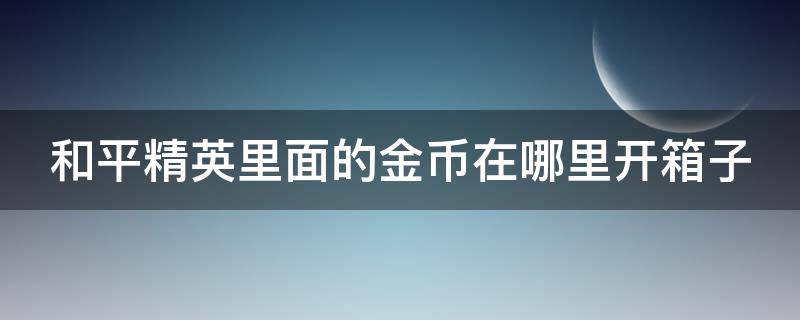 和平精英里面的金币在哪里开箱子（和平精英里面的金币在哪里开箱子啊）