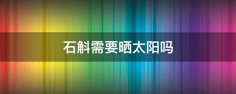 石斛需要晒太阳吗（石斛盆栽需要晒太阳吗）