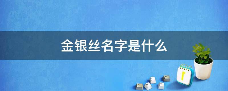 金银丝名字是什么 金丝子的别名是什么