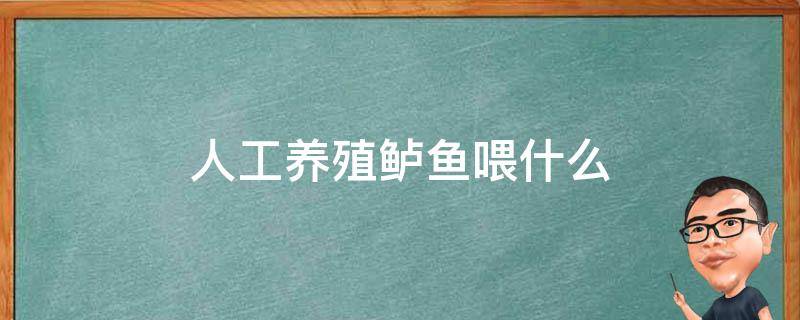 人工养殖鲈鱼喂什么 人工养殖鲈鱼一般在哪些地方有