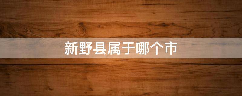 新野县属于哪个市（新野县属于哪个市哪个区）