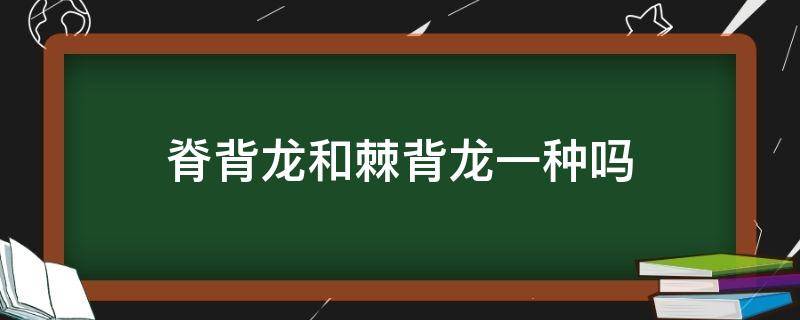 脊背龙和棘背龙一种吗（棘背龙的脊背是什么作用）