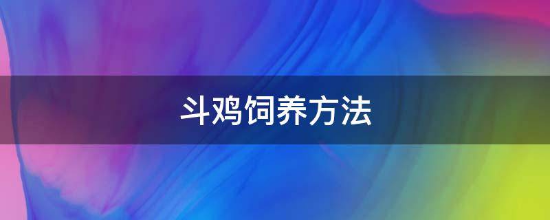 斗鸡饲养方法 斗鸡的饲养管理