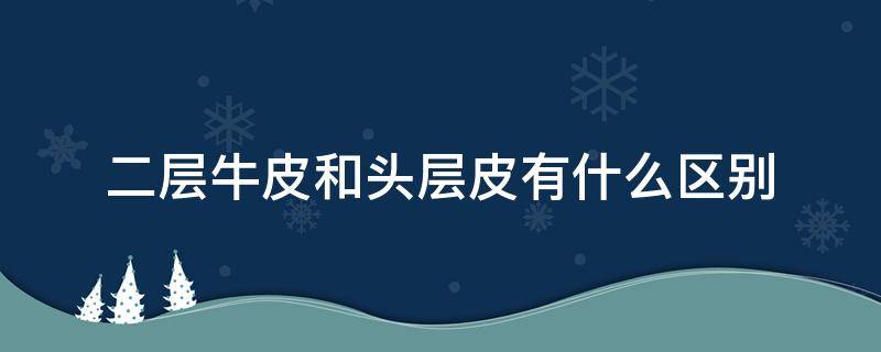 二层牛皮和头层皮有什么区别 牛皮头层皮和二层皮有什么区别