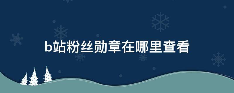 b站粉丝勋章在哪里查看（b站粉丝勋章在哪里领取）