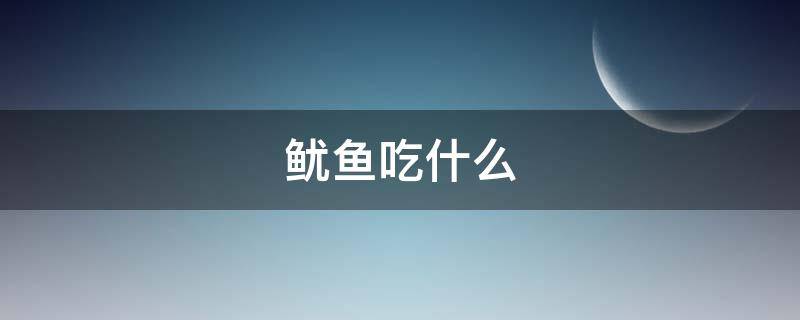 鱿鱼吃什么（我的世界鱿鱼吃什么）