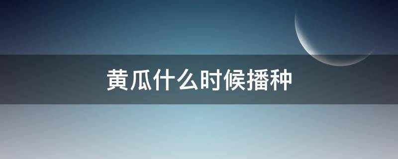 黄瓜什么时候播种（夏天黄瓜什么时候播种）