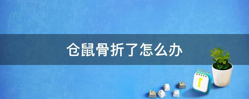 仓鼠骨折了怎么办 仓鼠骨折了怎么办?