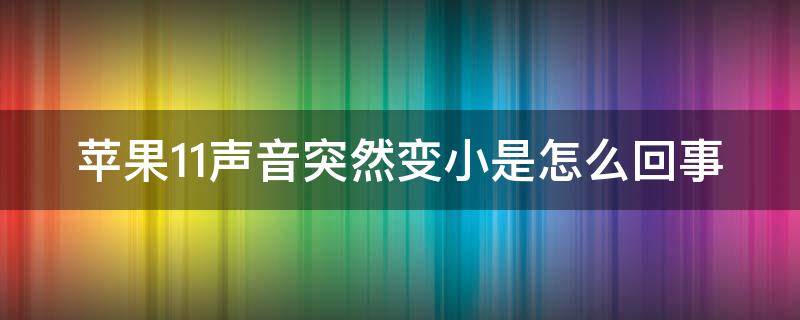 苹果11声音突然变小是怎么回事 苹果11声音突然变小什么原因