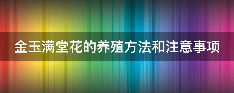 金玉满堂花的养殖方法和注意事项（金玉满堂花的养殖方法和注意事项 - 养花知识大全）