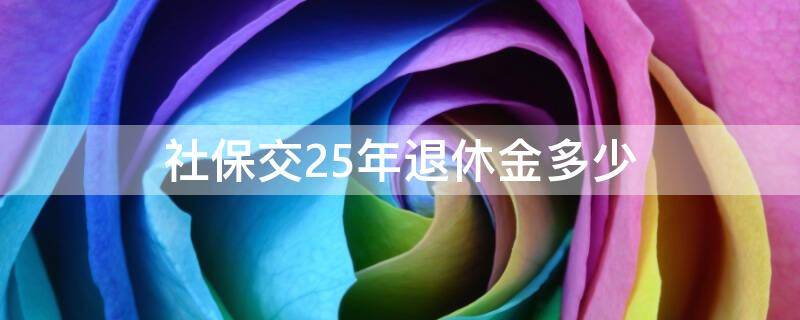 社保交25年退休金多少（社保交25年退休工资多少）