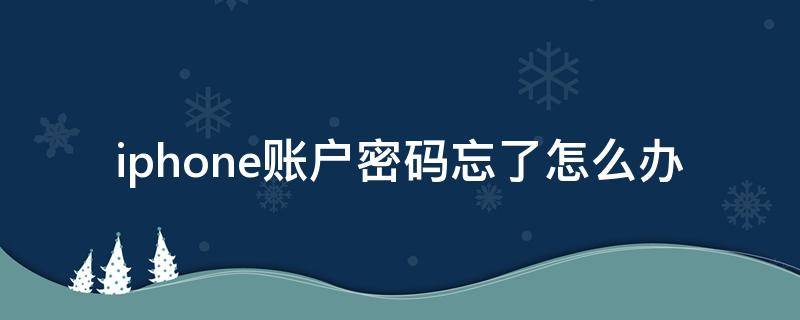 iphone账户密码忘了怎么办（iphone忘记账户密码了怎么办）