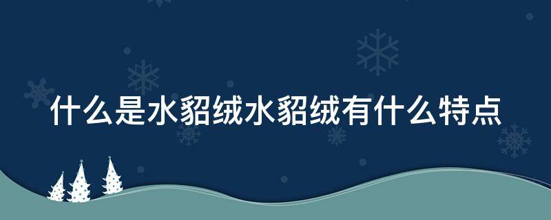 什么是水貂绒水貂绒有什么特点（什么是水貂绒?）