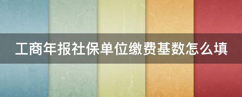 工商年报社保单位缴费基数怎么填（单位社保如何申报缴纳）