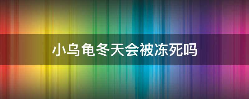 小乌龟冬天会被冻死吗 寒冷的冬天乌龟会冻死吗