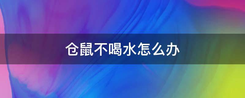 仓鼠不喝水怎么办（养的仓鼠不喝水怎么办）