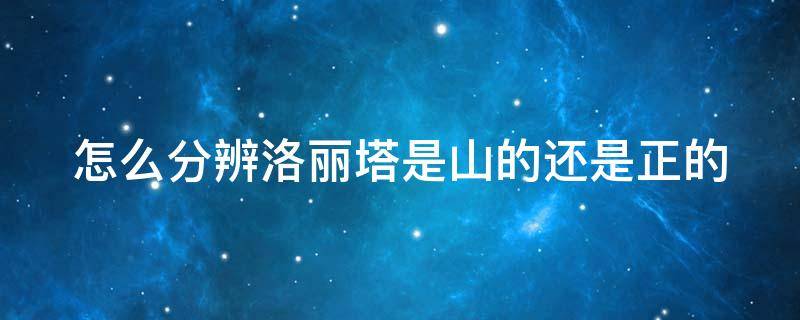 怎么分辨洛丽塔是山的还是正的（怎样判断洛丽塔是正还是山）