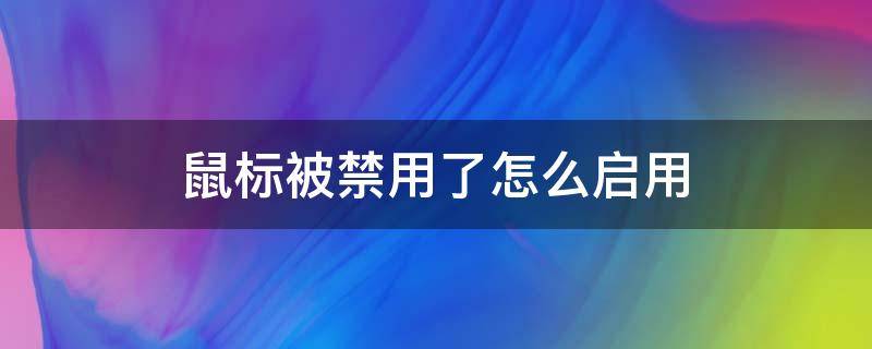 鼠标被禁用了怎么启用（把鼠标禁用了）