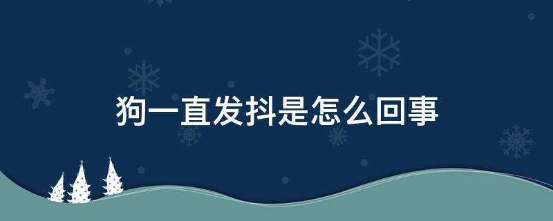 狗一直发抖是怎么回事（狗狗一直发抖是怎么回事?）