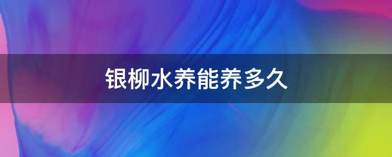 银柳水养能养多久 银柳放水养可以养多久