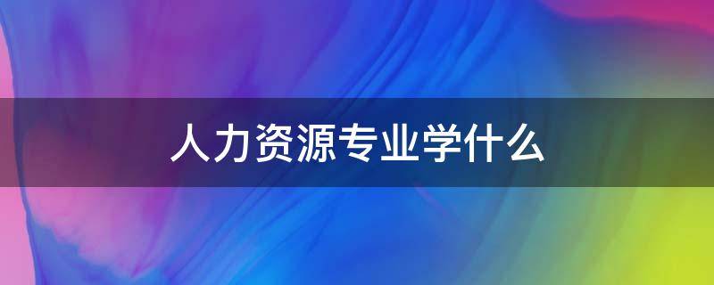 人力资源专业学什么（人力资源专业学什么的?有什么用?）