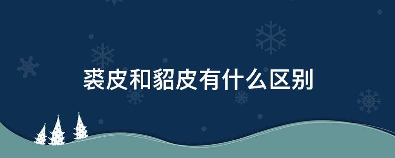 裘皮和貂皮有什么区别（裘皮和貂皮一样吗）