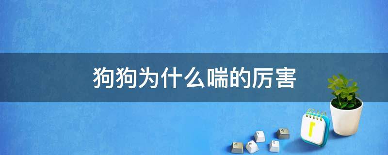 狗狗为什么喘的厉害 狗狗喘的特别厉害