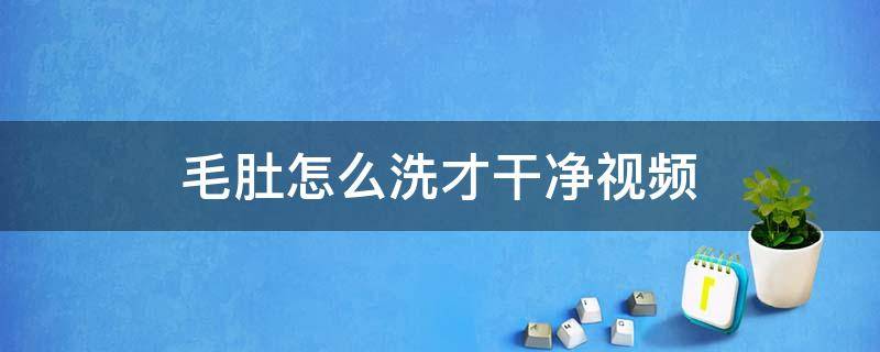 毛肚怎么洗才干净视频 牛毛肚怎么洗才干净视频