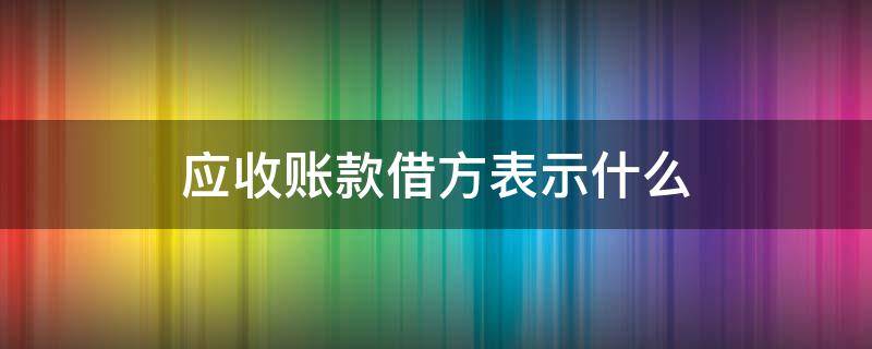 应收账款借方表示什么（应收账款借方余额表示什么）